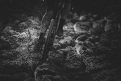 DP1_0164